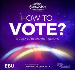 How to vote